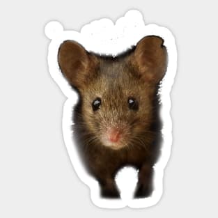 George the mouse Sticker